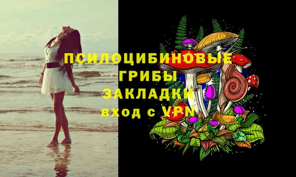 a pvp Рославль