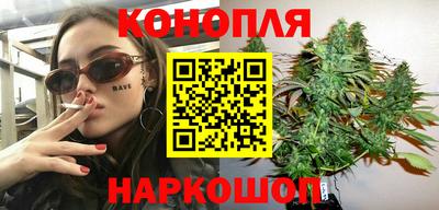 прущие грибы Абакан