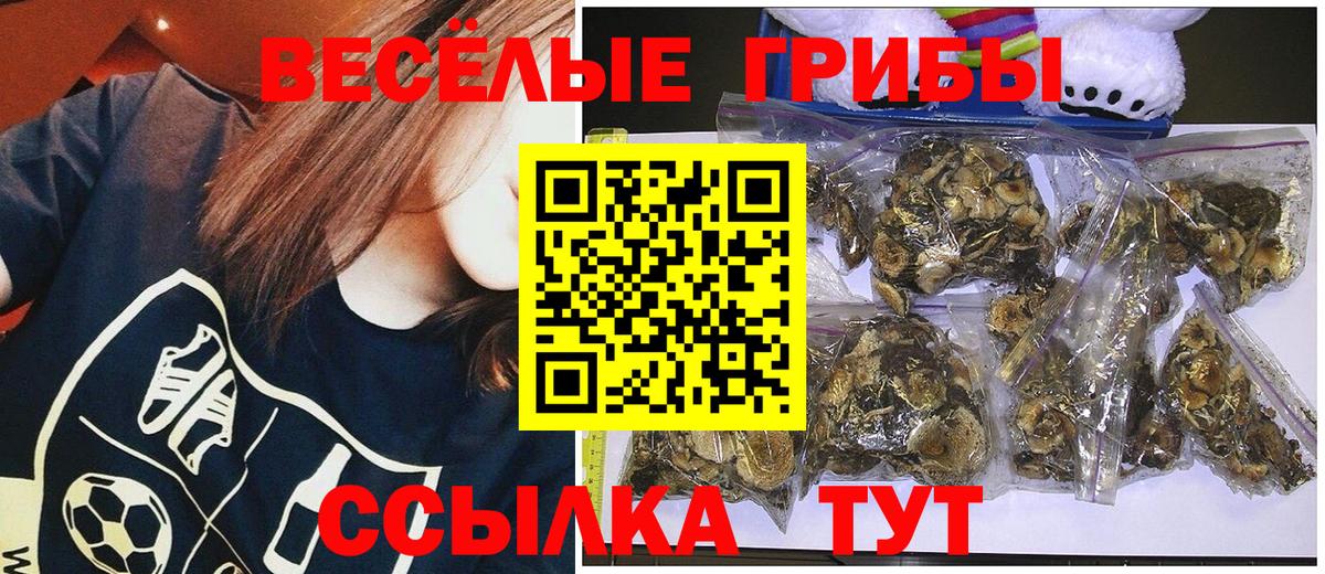 Галлюциногенные грибы мицелий Славгород