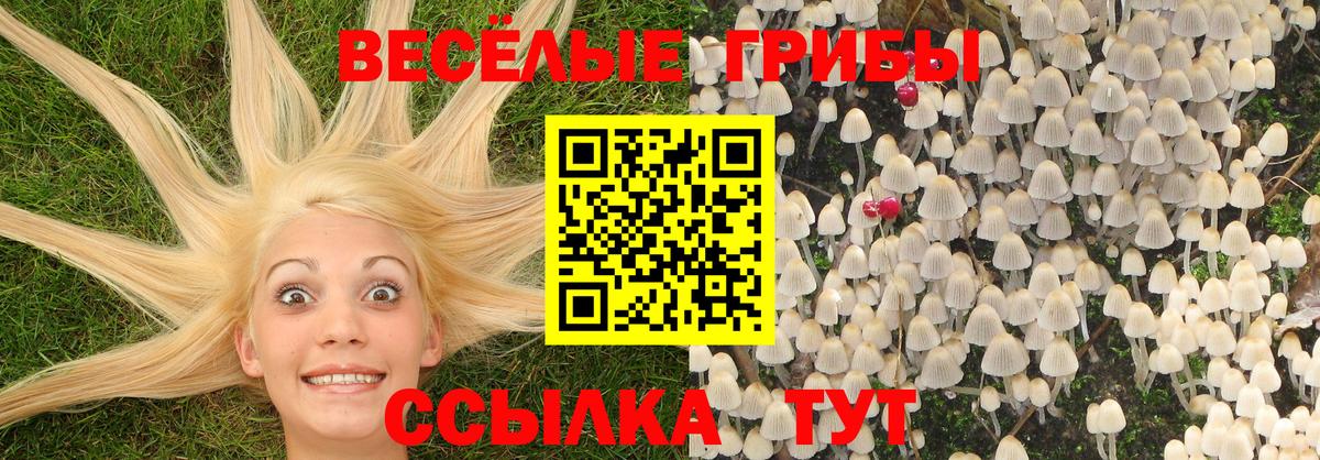 Славгород  Псилоцибиновые грибы мицелий  Галлюциногенные грибы MAGIC MUSHROOMS  Вход с VPN 