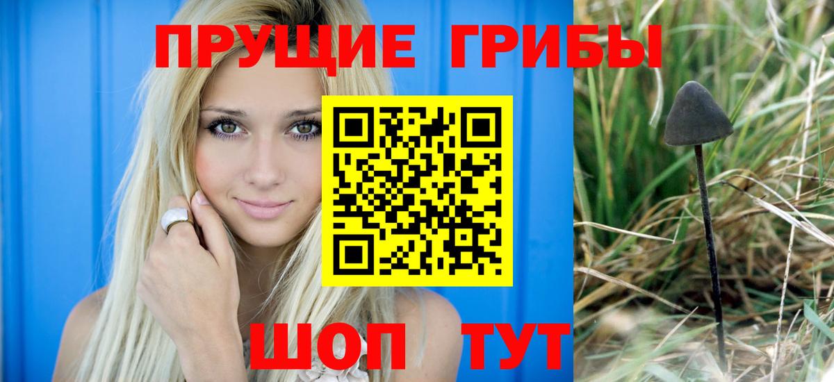 Галлюциногенные грибы MAGIC MUSHROOMS  Славгород  Псилоцибиновые грибы GOLDEN TEACHER 